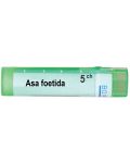 Asa foetida 5CH, Boiron - 1t