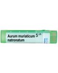 Aurum muriaticum natronatum 5CH, Boiron - 1t