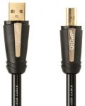 Кабел QED - Performance - Hi Ref, USB/USB-B, 1 m, черен - 4t