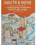 Оцвети и научи: Крепостта Баба Вида - 1t