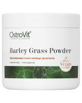 Barley Grass Powder, 200 g, OstroVit - 1t