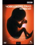 Човешкото тяло - Част 2 (DVD) - 1t