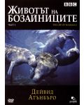 Животът на бозайниците - Част 3 (DVD) - 1t