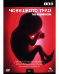 Човешкото тяло - Част 1 (DVD) - 1t