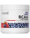 BCAA + Glutamine, ягода и горски плодове, 200 g, OstroVit - 1t