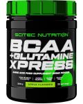 BCAA + Glutamine Xpress, цитрус, 300 g, Scitec Nutrition - 1t