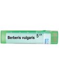 Berberis vulgaris 5CH, Boiron - 1t