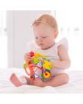 Бебешка играчка Playgro - Топка, Играй и опознавай - 3t
