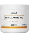 Beta-Alanine 800, 300 капсули, OstroVit - 1t