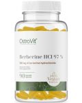 Berberine HCl 97%, 90 капсули, OstroVit - 1t