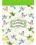 Бележник с ластик Santoro - Hummingbirds - 2t