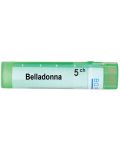 Belladonna 5CH, Boiron - 1t