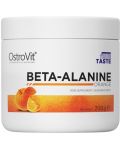 Beta-Alanine Powder, портокал, 200 g, OstroVit - 1t