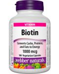 Biotin, 1000 mcg, 180 капсули, Webber Naturals - 1t