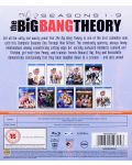 Big Bang Theory Series 1-9 (Blu-Ray) - 4t