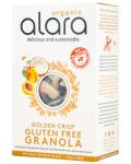 Golden Crisp Gluten Free Granola, 325 g, Alara - 1t