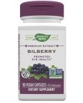 Bilberry, 90 капсули, Nature's Way - 1t