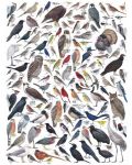 Пъзел New York Puzzle от 1000 части - Птици от източна и централна Северна Америка - 1t