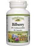 Herbal Factors Bilberry, 90 капсули, Natural Factors - 1t