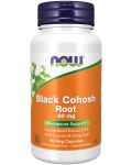 Black Cohosh Root, 80 mg, 90 капсули, Now - 1t