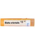 Blatta orientalis 15CH, Boiron - 1t