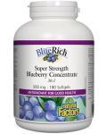 BlueRich Blueberry Concentrate, 500 mg, 180 софтгел капсули, Natural Factors - 1t