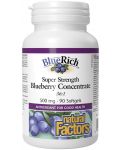 BlueRich Blueberry Concentrate, 500 mg, 90 софтгел капсули, Natural Factors - 1t