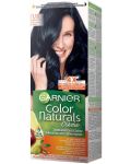 Garnier Color Naturals Crème Боя за коса, Чисто черно, 1.10 - 1t