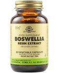 Boswellia Resin Extract, 60 растителни капсули, Solgar - 1t