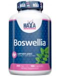 Boswellia, 250 mg, 100 капсули, Haya Labs - 1t