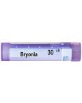 Bryоnia 30CH, Boiron - 1t