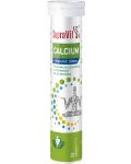 Calcium + Vitamin С, 20 таблетки, SupraVit - 1t