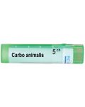 Carbo animalis 5CH, Boiron - 1t