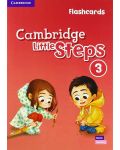 Cambridge Little Steps Level 3 Flashcards / Английски език - ниво 3: Флашкарти - 1t