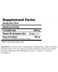CarniLine Pro Active, ананас, 480 ml, Amix - 2t
