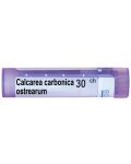 Calcarea carbonica ostrearum 30CH, Boiron - 1t