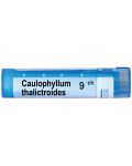 Caulophyllum thalictroides 9CH, Boiron - 1t