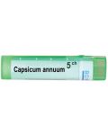 Capsicum annuum 5CH, Boiron - 1t