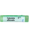 Calendula officinalis 5CH, Boiron - 1t