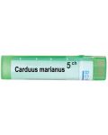 Carduus marianus 5CH, Boiron - 1t