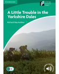 Cambridge Experience Readers: A Little Trouble in the Yorkshire Dales Level 3 Lower-intermediate - 1t