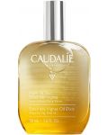 Caudalie Soleil Des Vignes Еликсир-олио, 50 ml - 1t