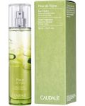 Caudalie Ароматна вода Fleur De Vigne, 50 ml - 2t