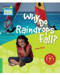 Cambridge Young Readers: Why Do Raindrops Fall? Level 3 Factbook - 1t