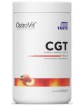 CGT Powder, праскова, 600 g, OstroVit - 1t