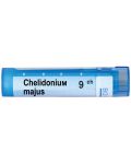 Chelidonium majus 9CH, Boiron - 1t