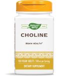 Choline, 500 mg, 100 таблетки, Nature’s Way - 1t