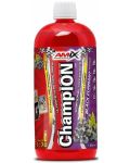 Champion Sports Fuel, касис, 1000 ml, Amix - 1t