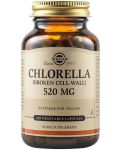 Chlorella, 520 mg, 100 растителни капсули, Solgar - 1t