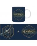 Чаша ABYstyle Movies: Harry Potter - Hogwarts Legacy (Logo) - 3t